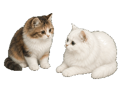 Yuanxiao and Lixia playing together