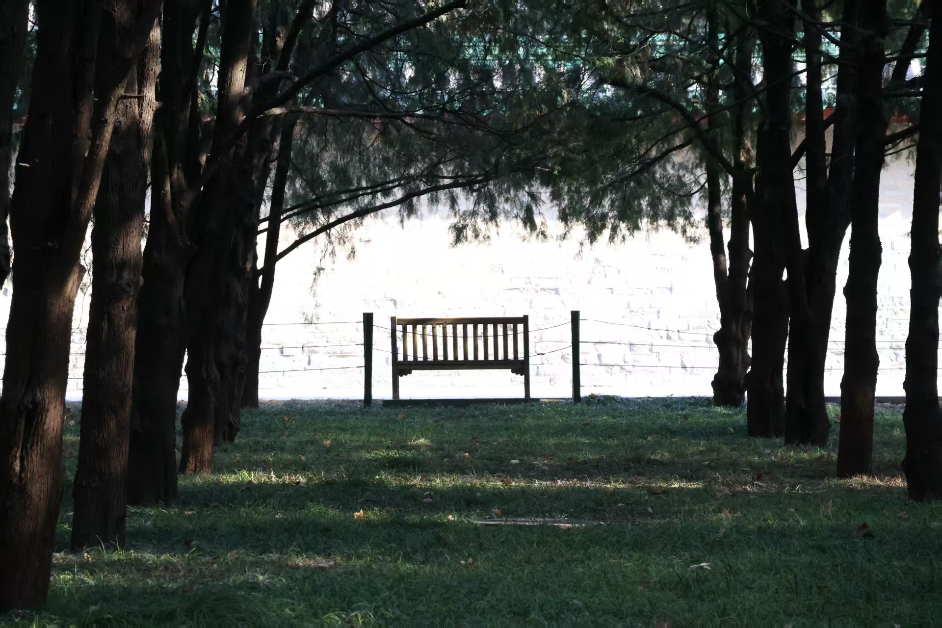 An empty bench beneath shaded trees in Beijing