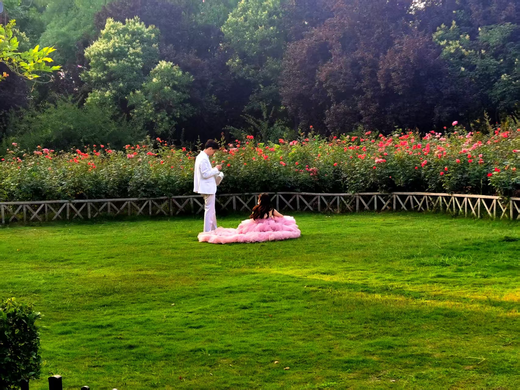 A quiet green park scene in Jinan